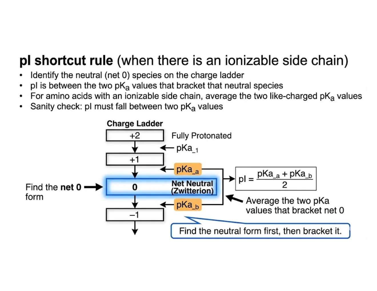 A charge-ladder diagram listing protonation states from most positive to most negative, with the pI = average-of-flanking-pKa rule.