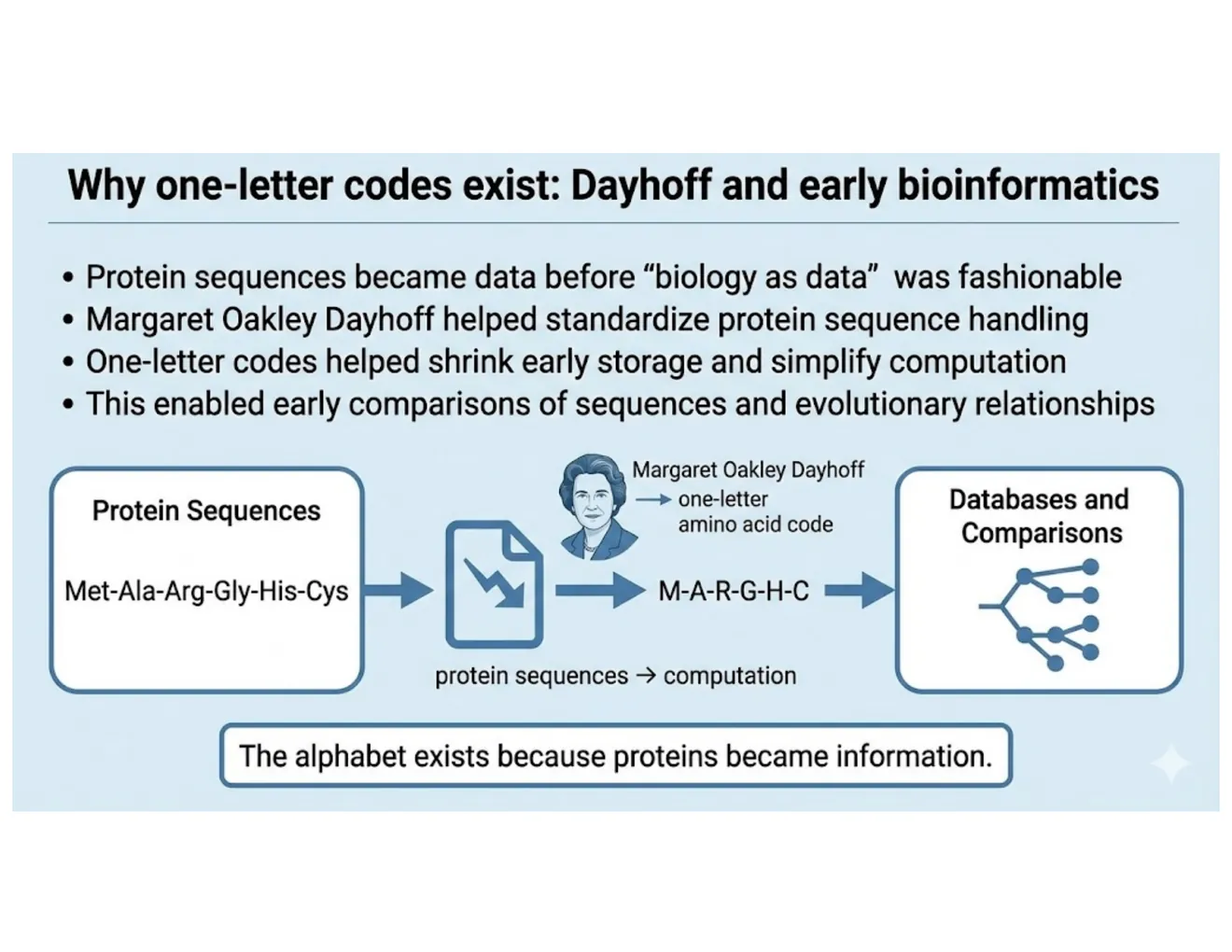 A flow diagram tracing protein sequences becoming computational data, crediting Margaret Dayhoff's one-letter code.