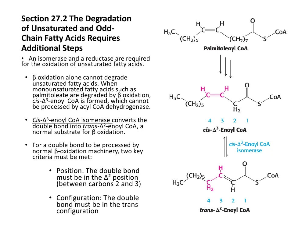 Unsaturated Fatty Acids Need Help