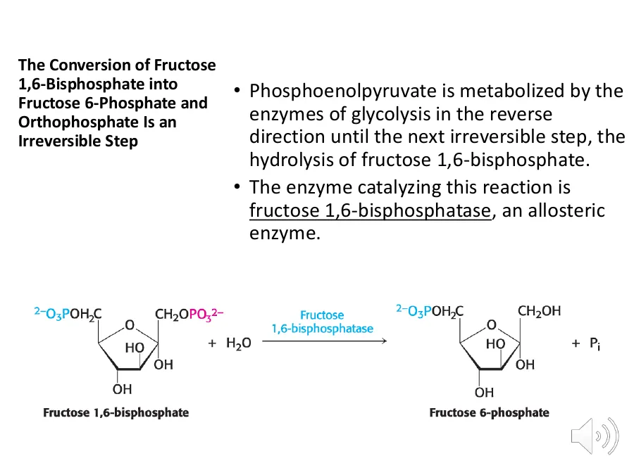 FBPase-1 hydrolyzing the C1 phosphate of fructose-1,6-bisphosphate to fructose-6-phosphate plus inorganic phosphate, the second bypass.
