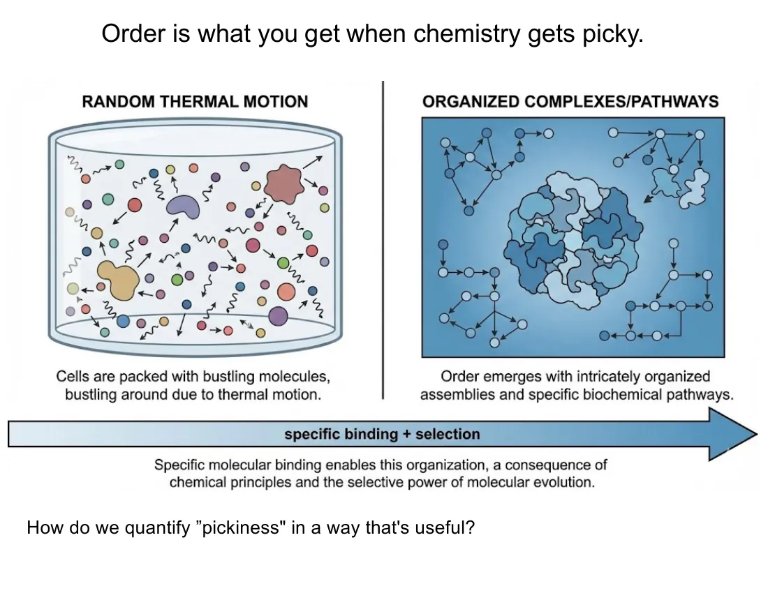 Two panels: random thermal motion of molecules on the left versus organized complexes and pathways on the right, with specific binding plus selection as the bridge.