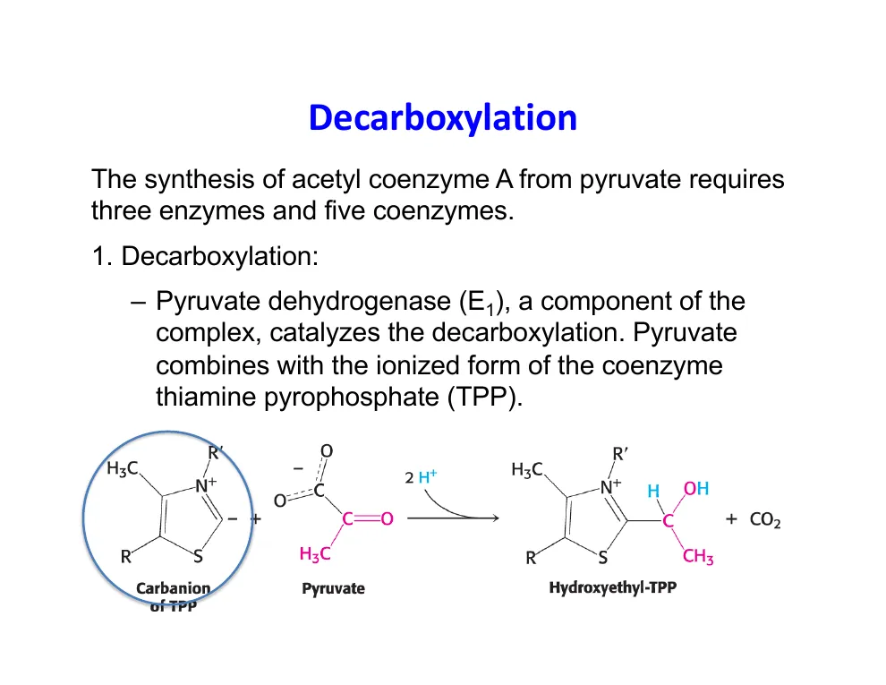 Step 1: Decarboxylation on TPP